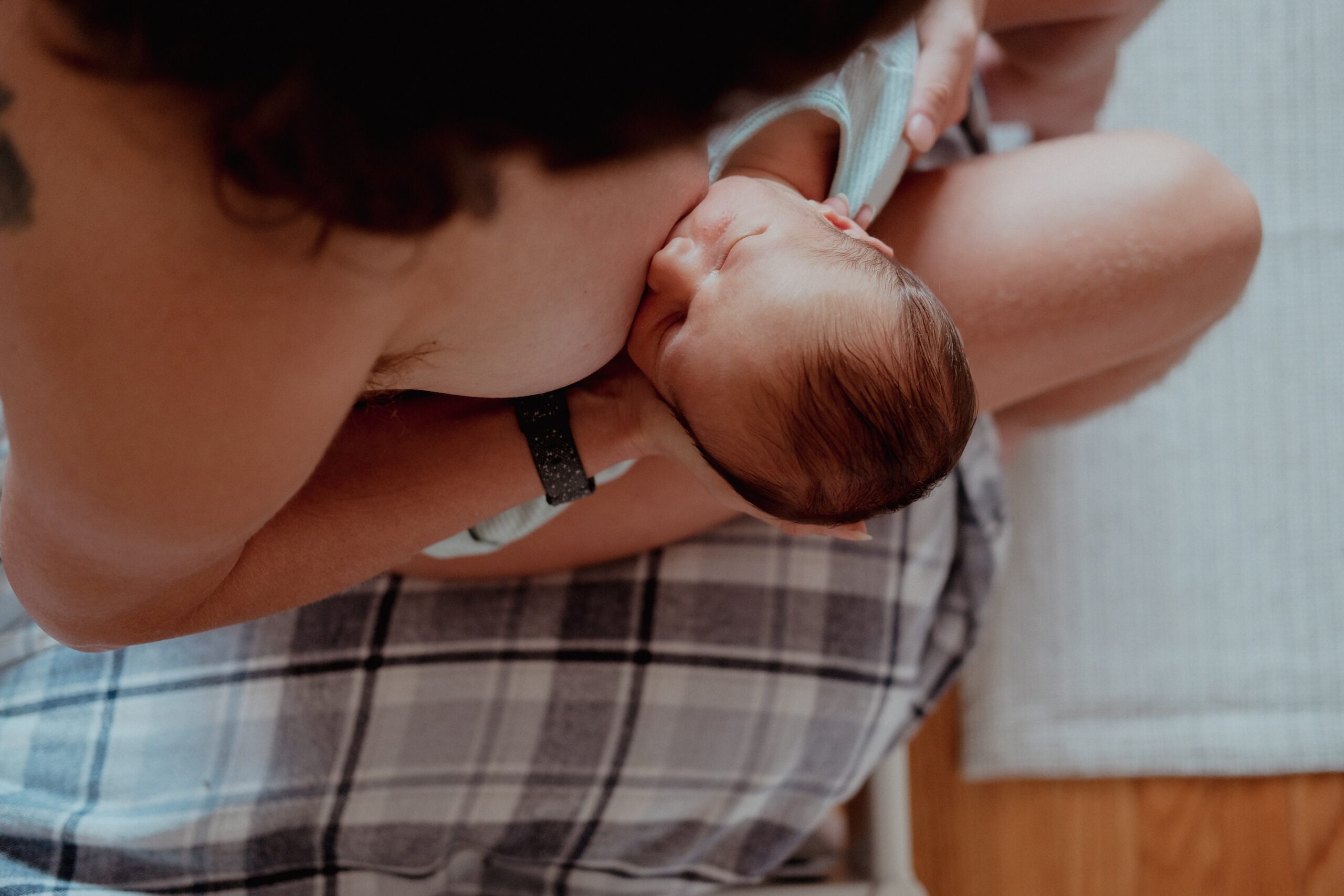 wren-meinberg-NFH6LovuJso-unsplash