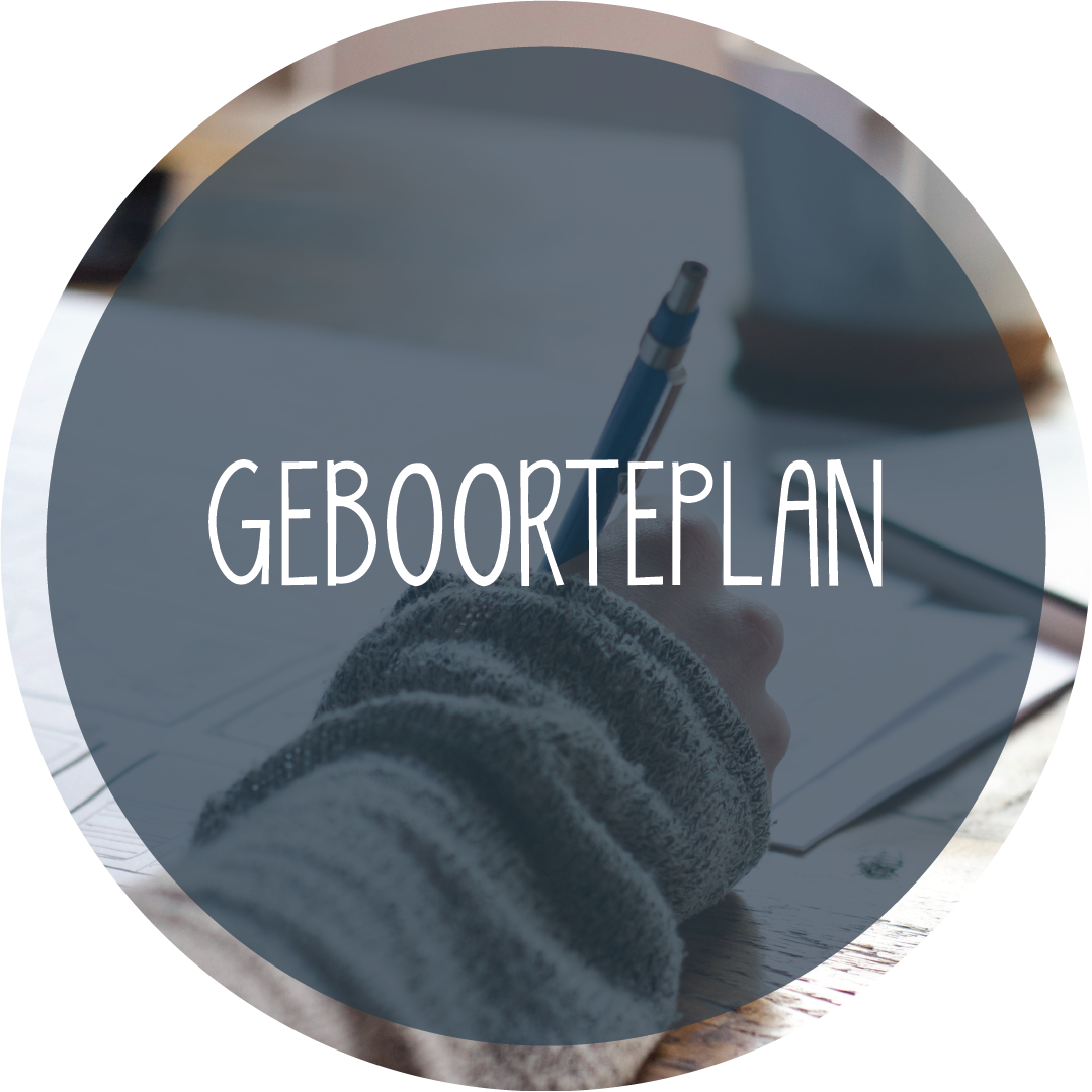Geboorteplan